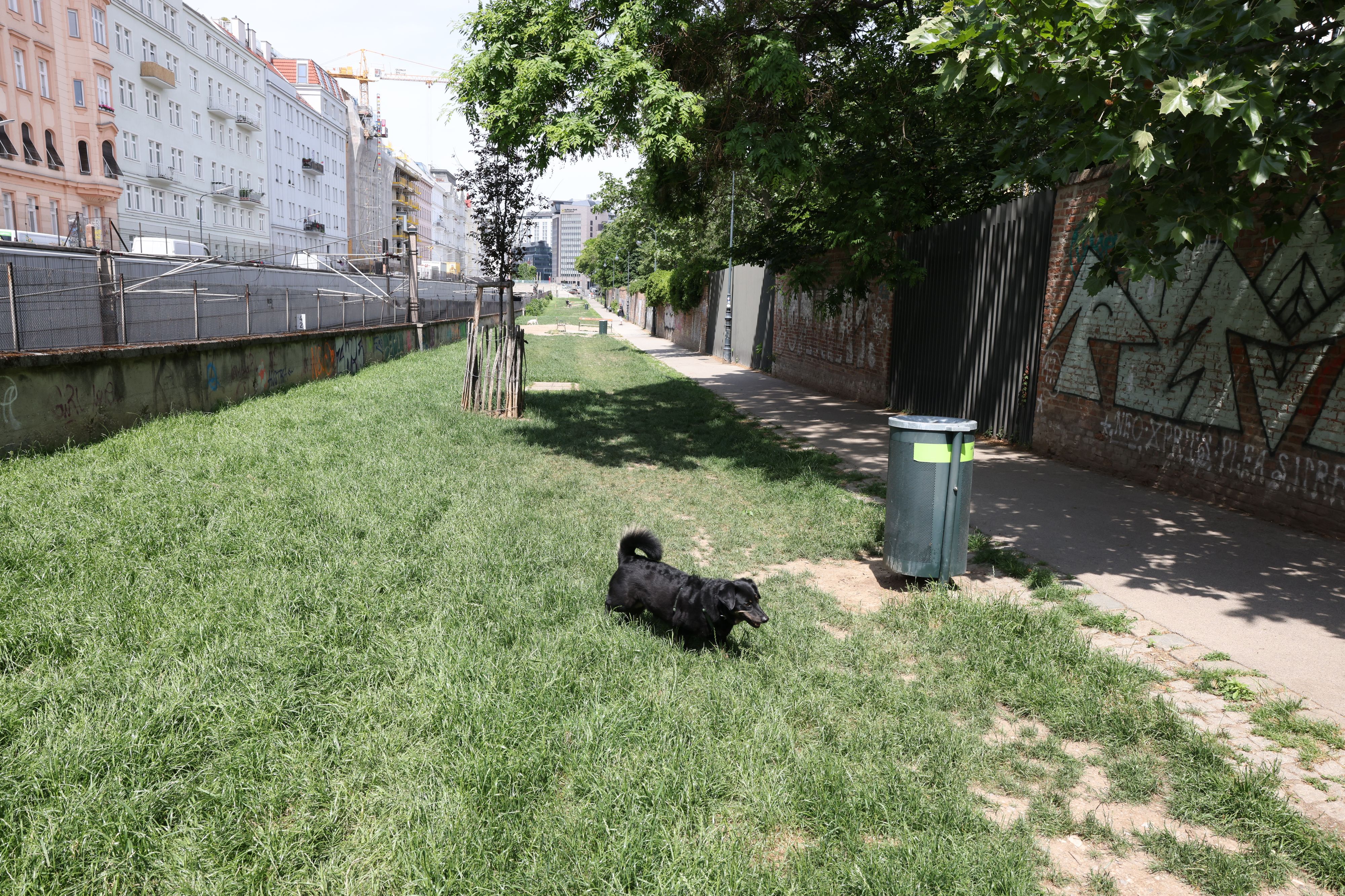 Unbekannte leerte Kanister in Hundezone aus. 