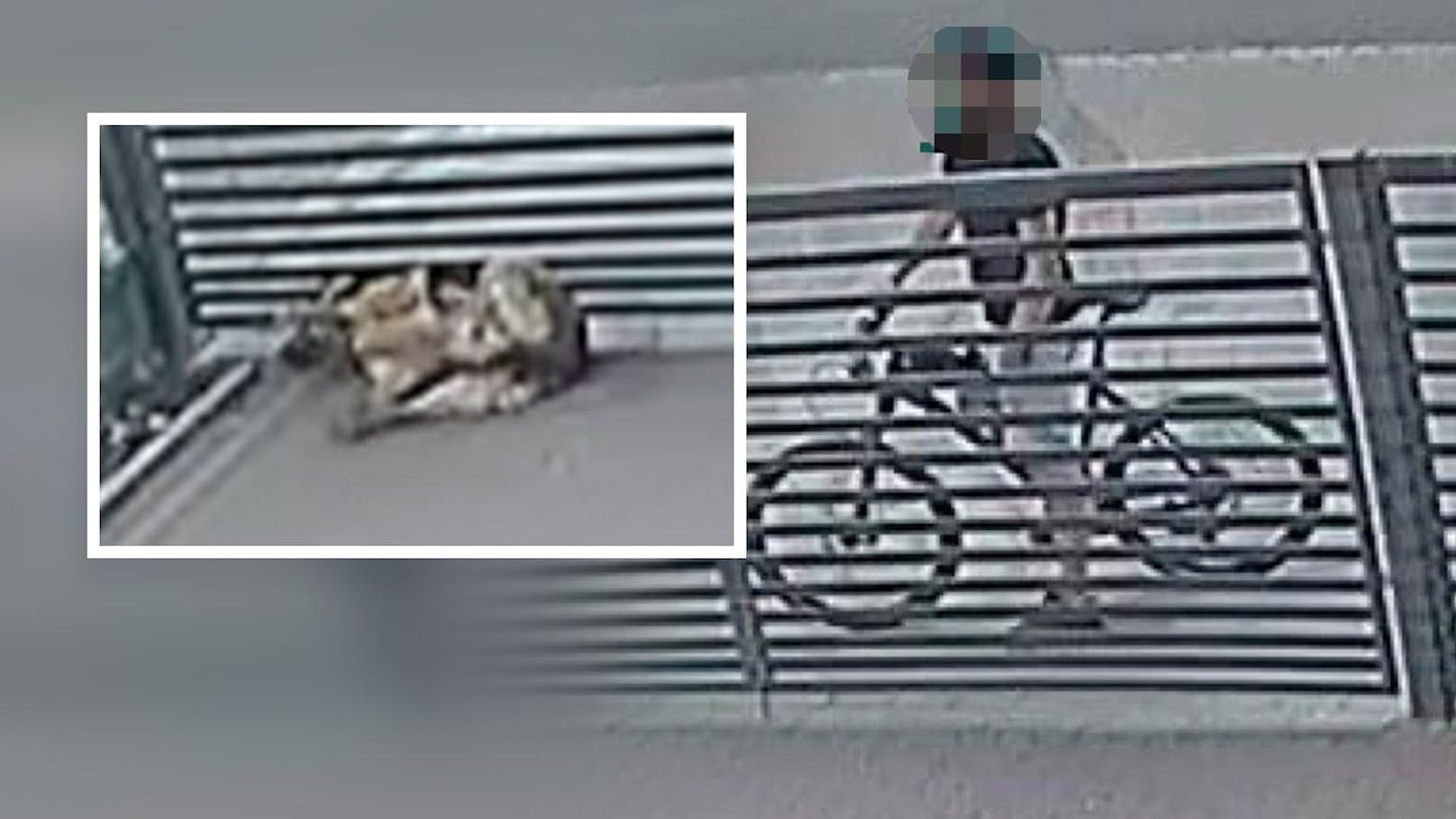 Eine Überwachungskamera filmte den vorerst unbekannten Radler bei seiner unfassbaren Tat.