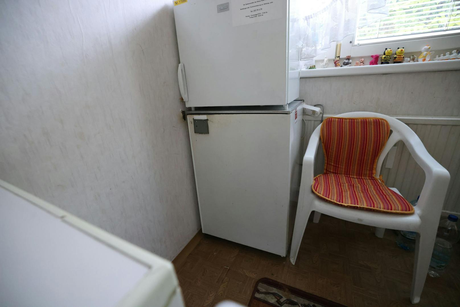 Der Kühlschrank der Pensionistin ist aus dem Jahr 1969, hat schon 53 Jahre auf dem Buckel.