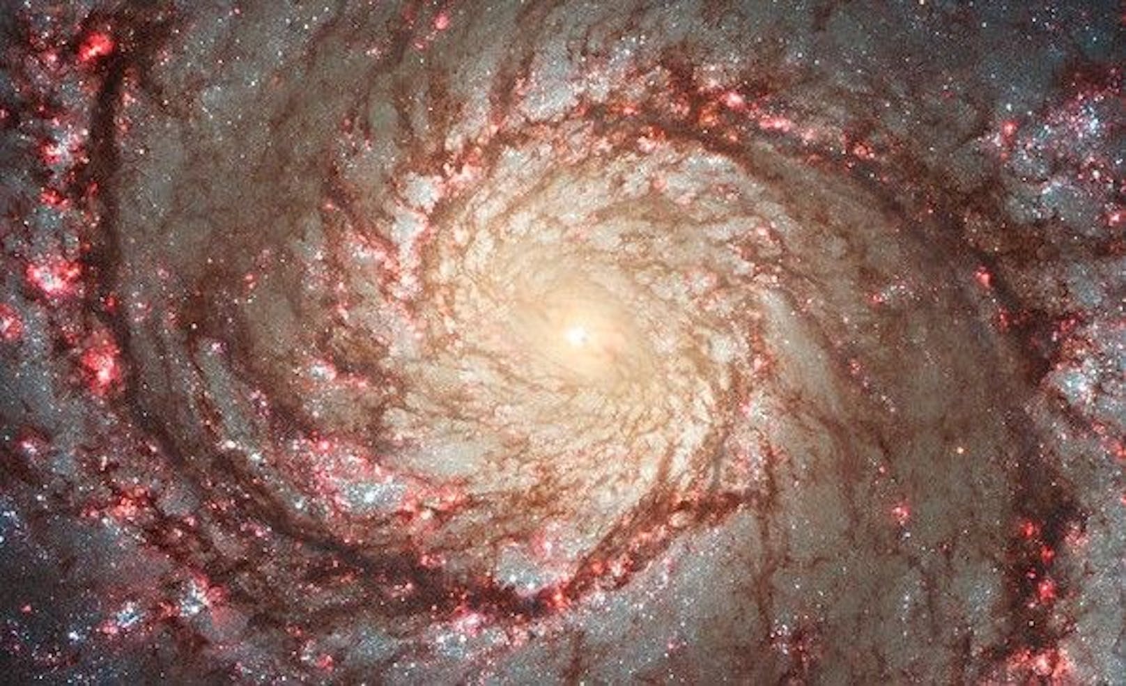 Ein Schauspiel für die Augen: Die Whirlpool Galaxie.