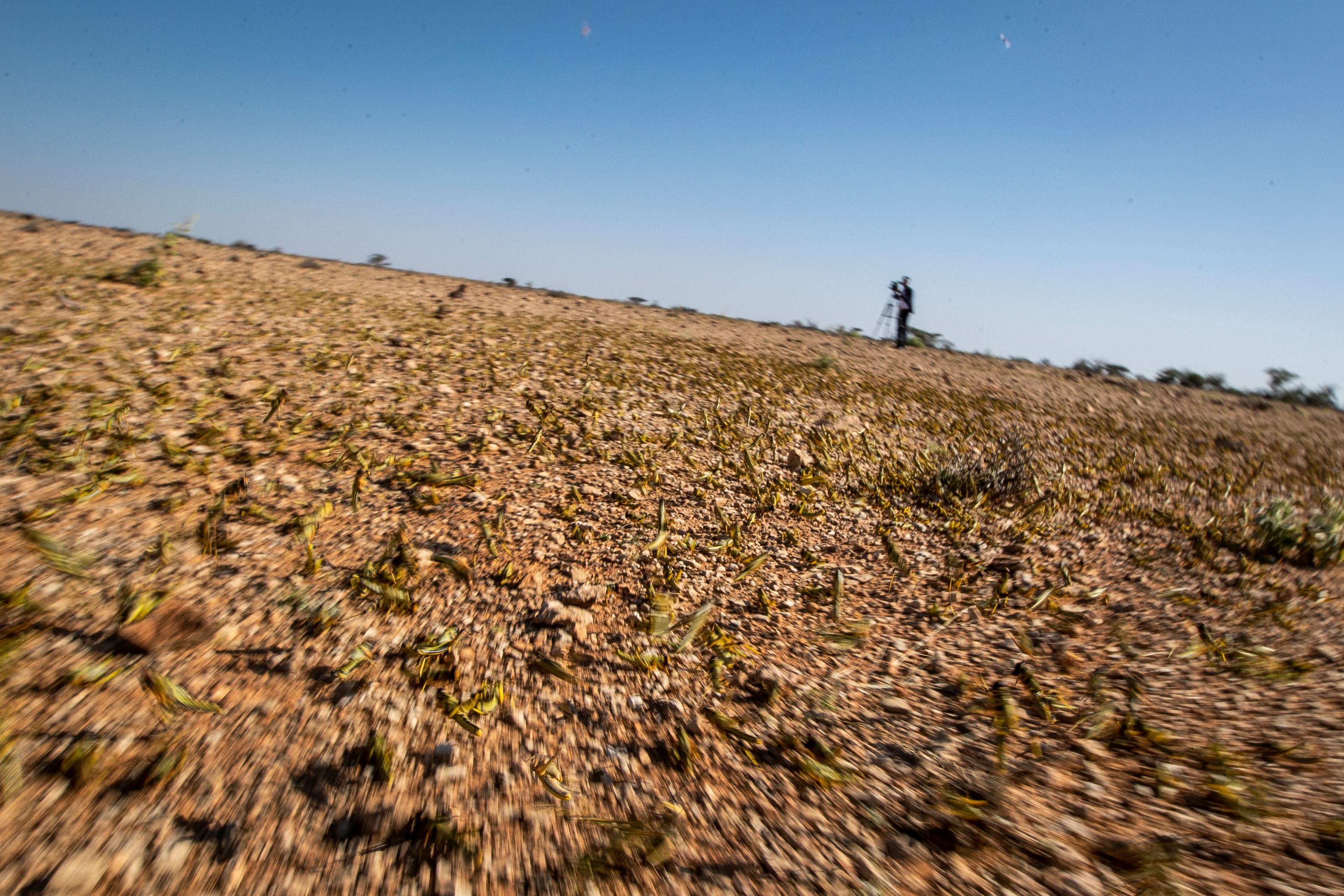 In Afrika und Asien könnte die Hungerkrise weiter zunehmen.