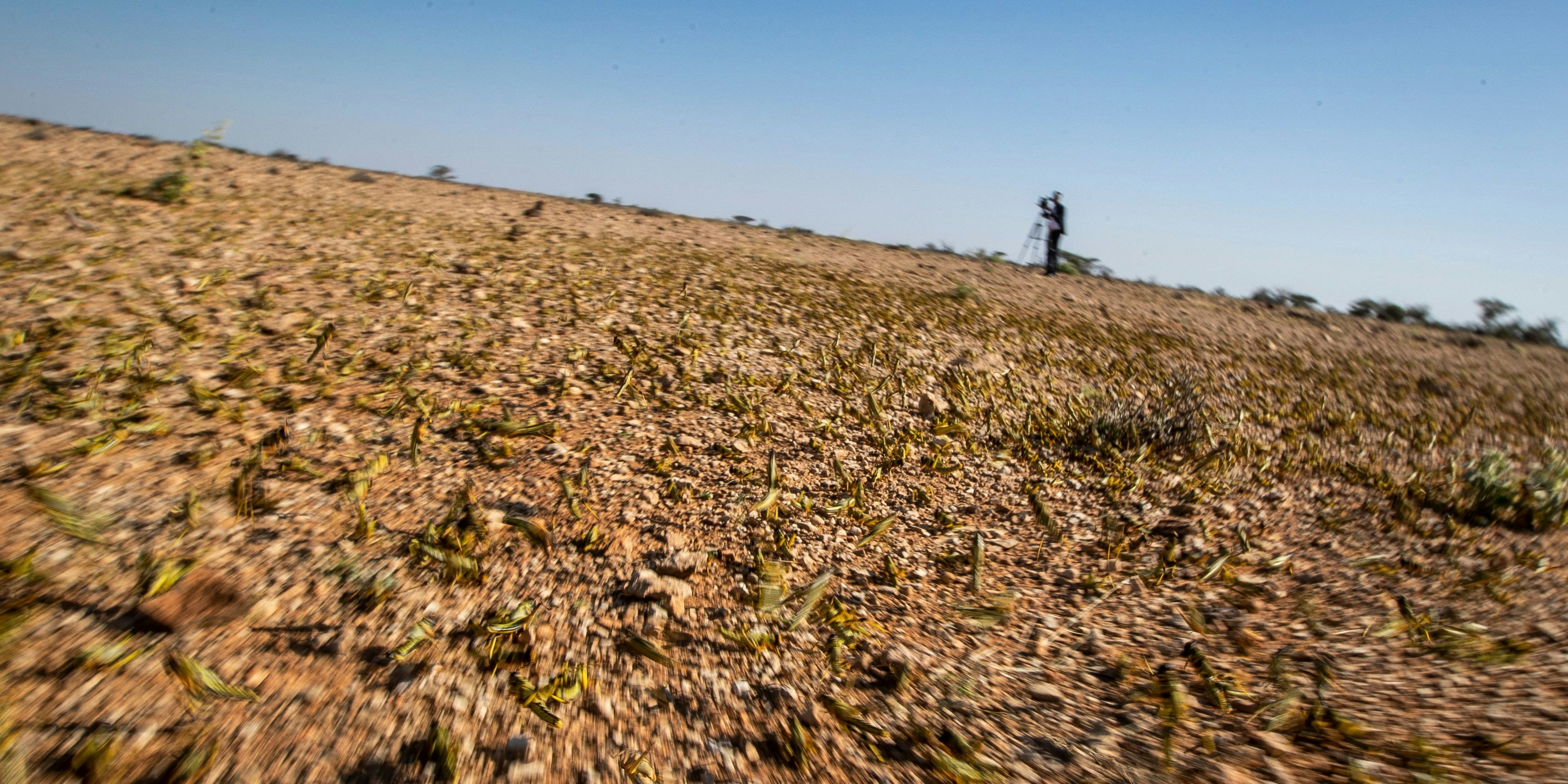 In Afrika könnte die Hungerkrise weiter zunehmen.