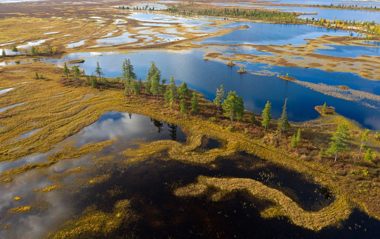 Die Tundra in Sibirien mit ihrer besonderen Pflanzen- und Tierwelt ist durch die Klimakrise massiv bedroht.