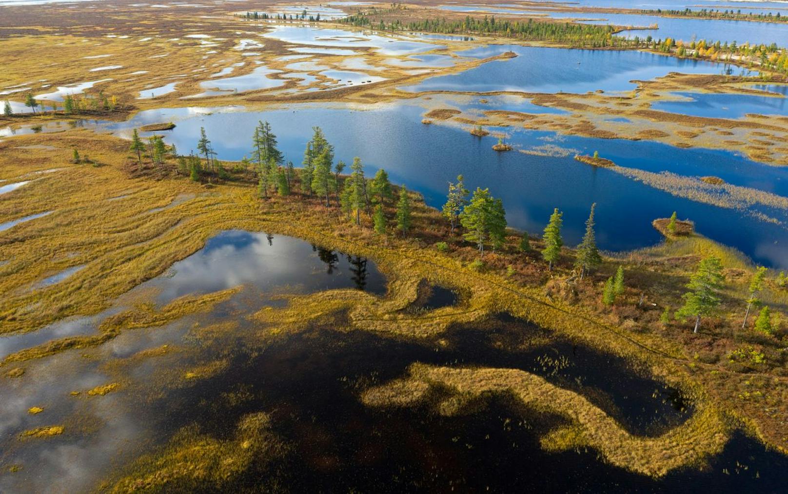 Studie – Klimakrise bedroht sibirische Tundra