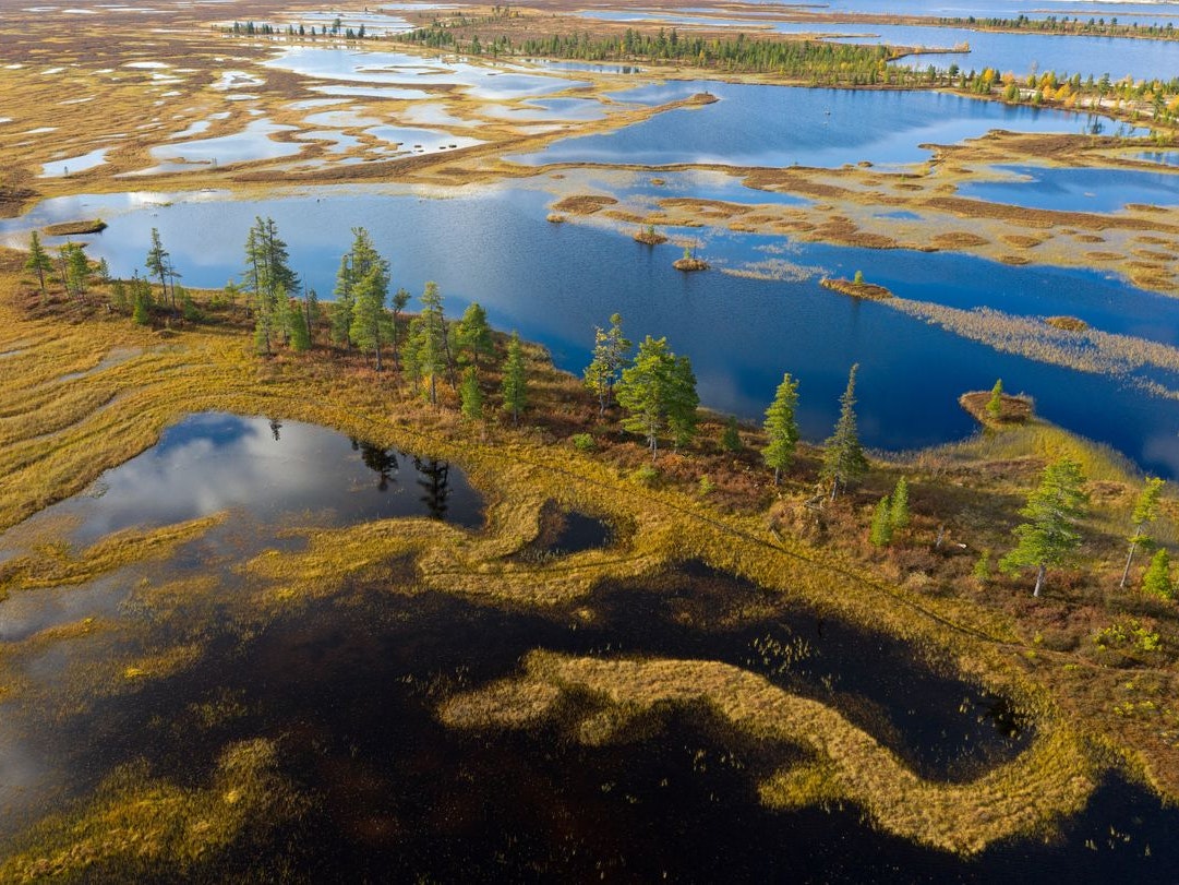 Autumn view from the height of the marshes and tundra of the North of Western Siberia