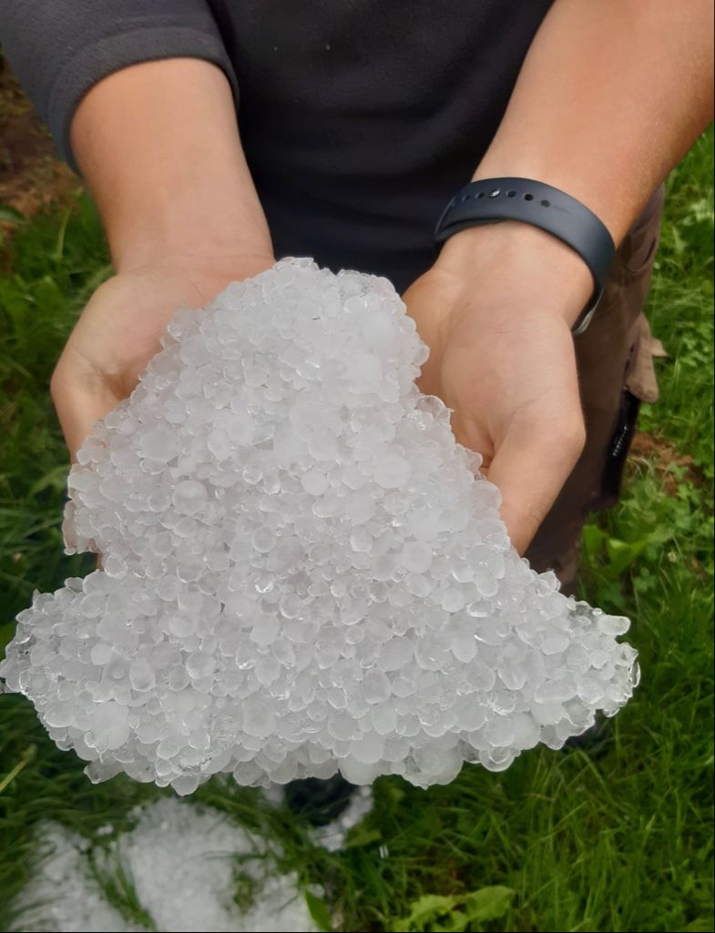 Heutige Unwetter im Burgenland und in der Steiermark verursachten weitere Schäden in der Landwirtschaft: 1,8 Millionen Euro.