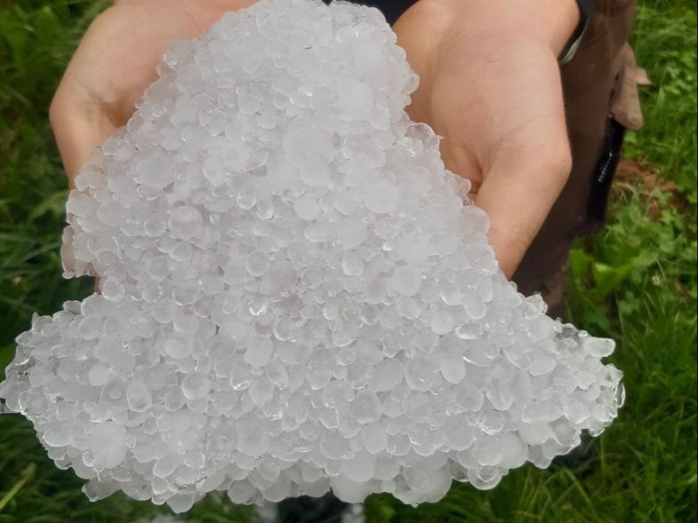 Heutige Unwetter im Burgenland und in der Steiermark verursachten weitere Schäden in der Landwirtschaft: 1,8 Millionen Euro