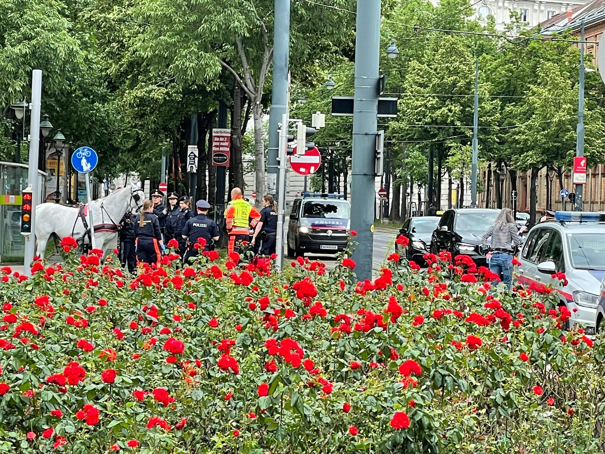 Erst beim Stubentor konnten die panischen Pferde gestoppt werden.