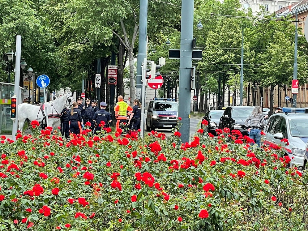 Erst beim Stubentor in der Wiener City konnten die panischen Pferde gestoppt werden.