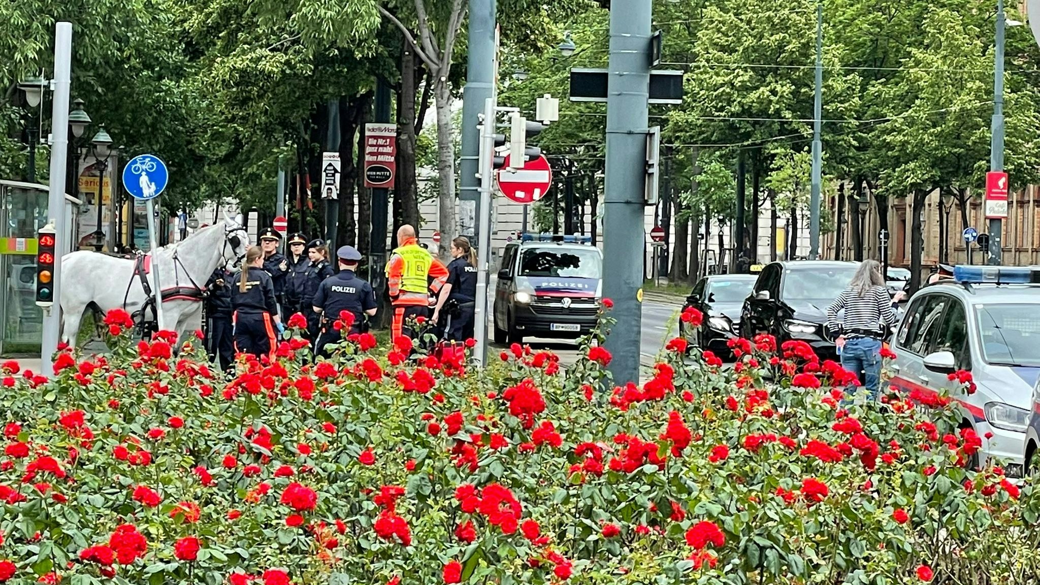 Erst beim Stubentor konnten die panischen Pferde gestoppt werden.