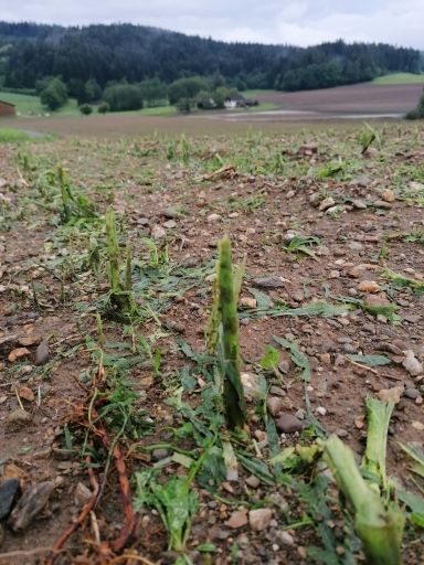 Schwere Unwetter-Schäden in Moosburg