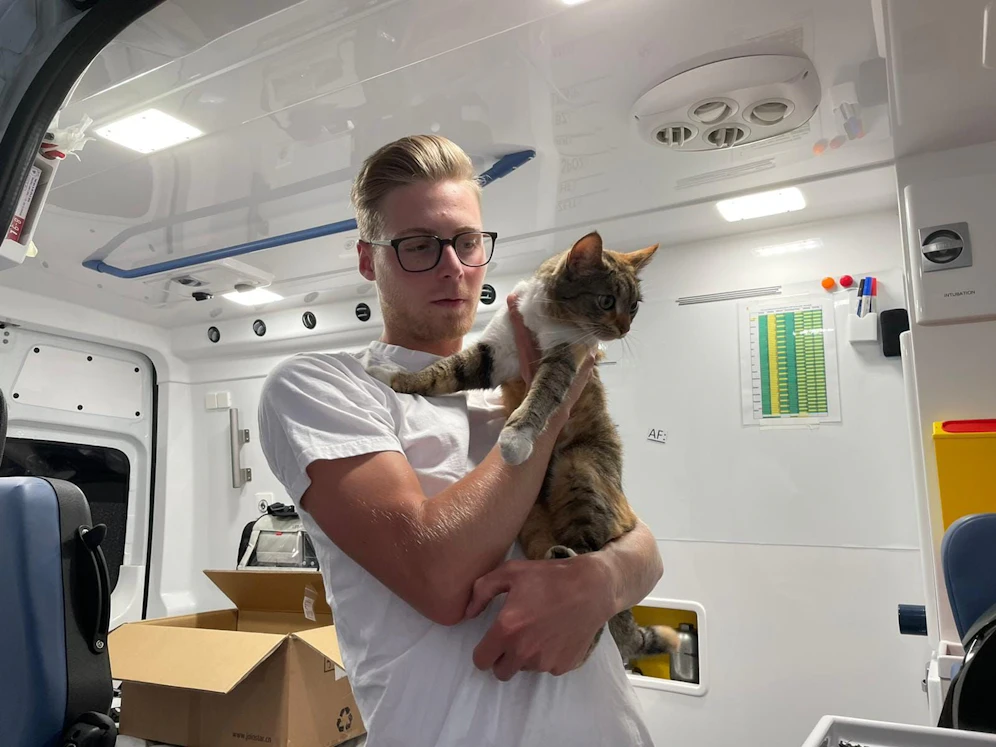 Die Katze wurde gut versorgt.