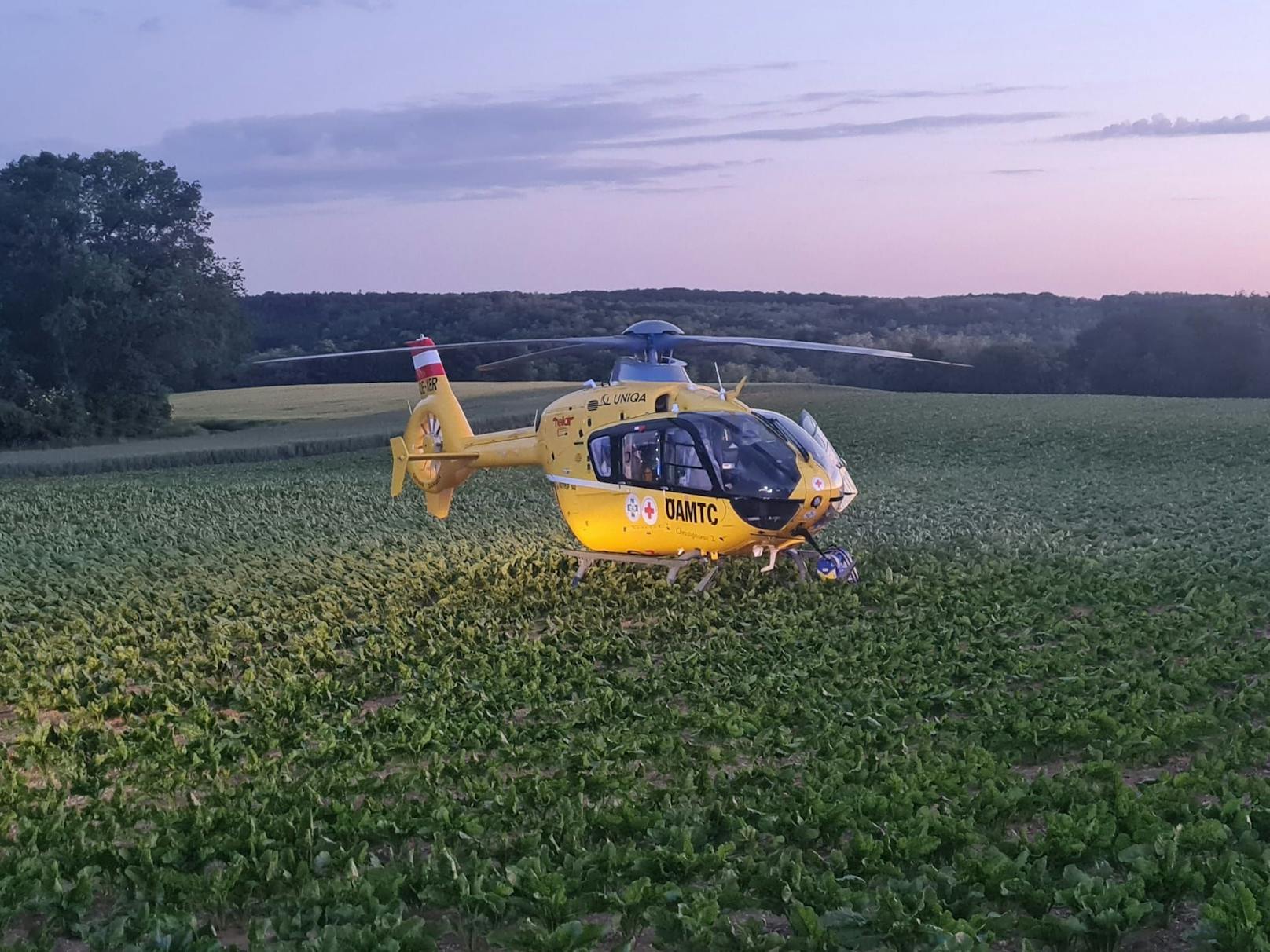 Der Rettungshubschrauber landete am Feld.