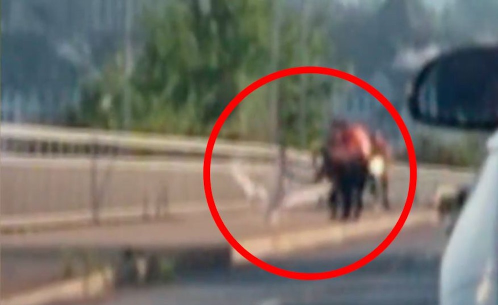 Augenzeugen filmten die vermeintliche 