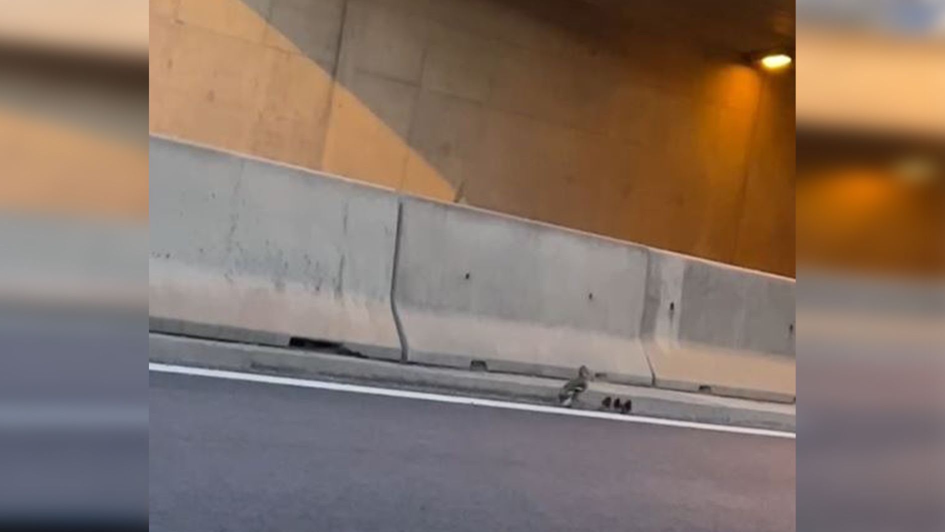 Achtung Autofahrer! Sonntagnachmittag gingen diese vier Vögel die S2 entlang.