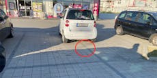 Smartlenker platziert Wagen auf zwei Parkplätzen