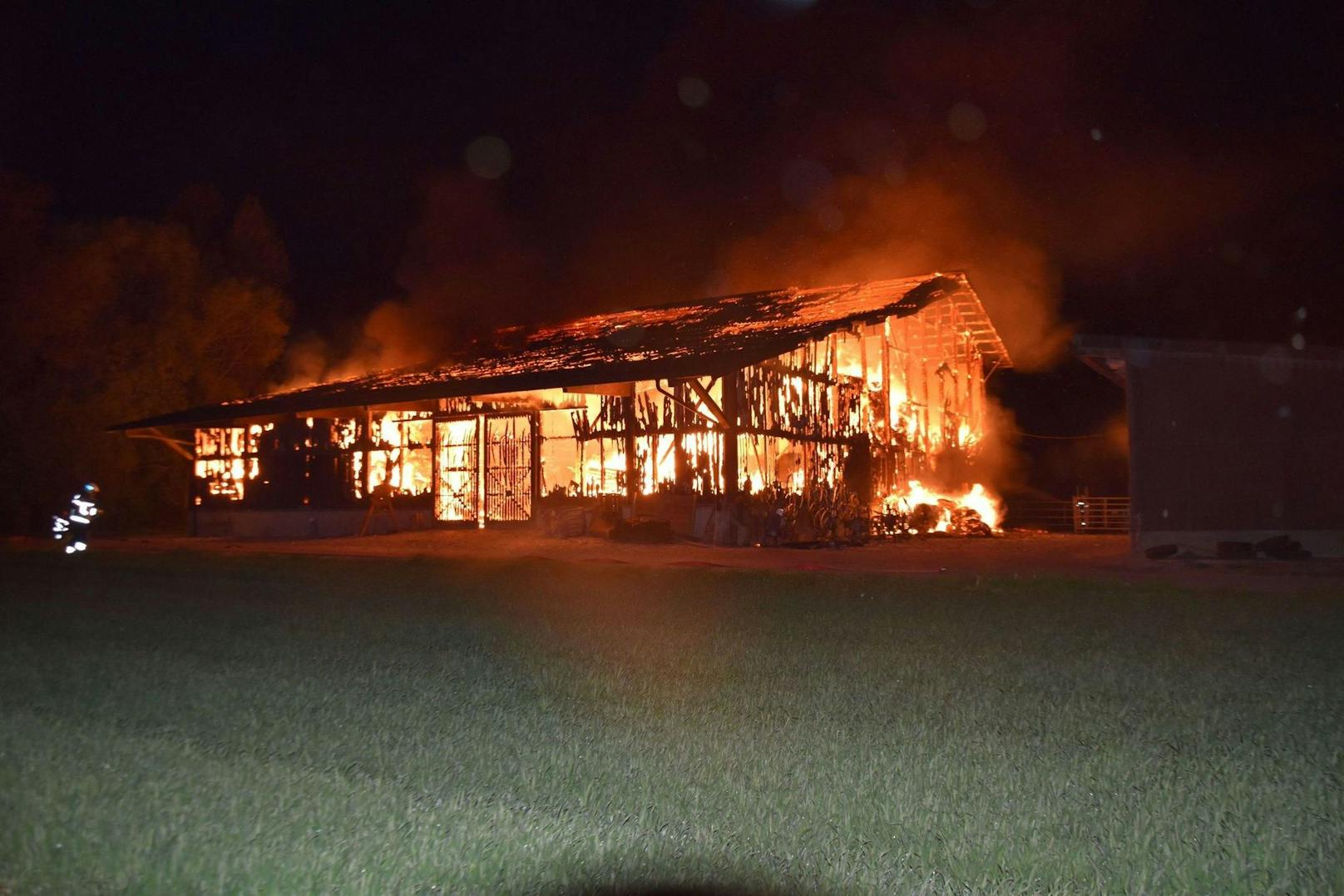 Terror seit Wochen: Feuerwehrmann legt unzählige Brände