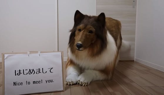 In diesem lebensechten Hundekostüm steckt Japaner Toko, der seine Passion geheimhält.