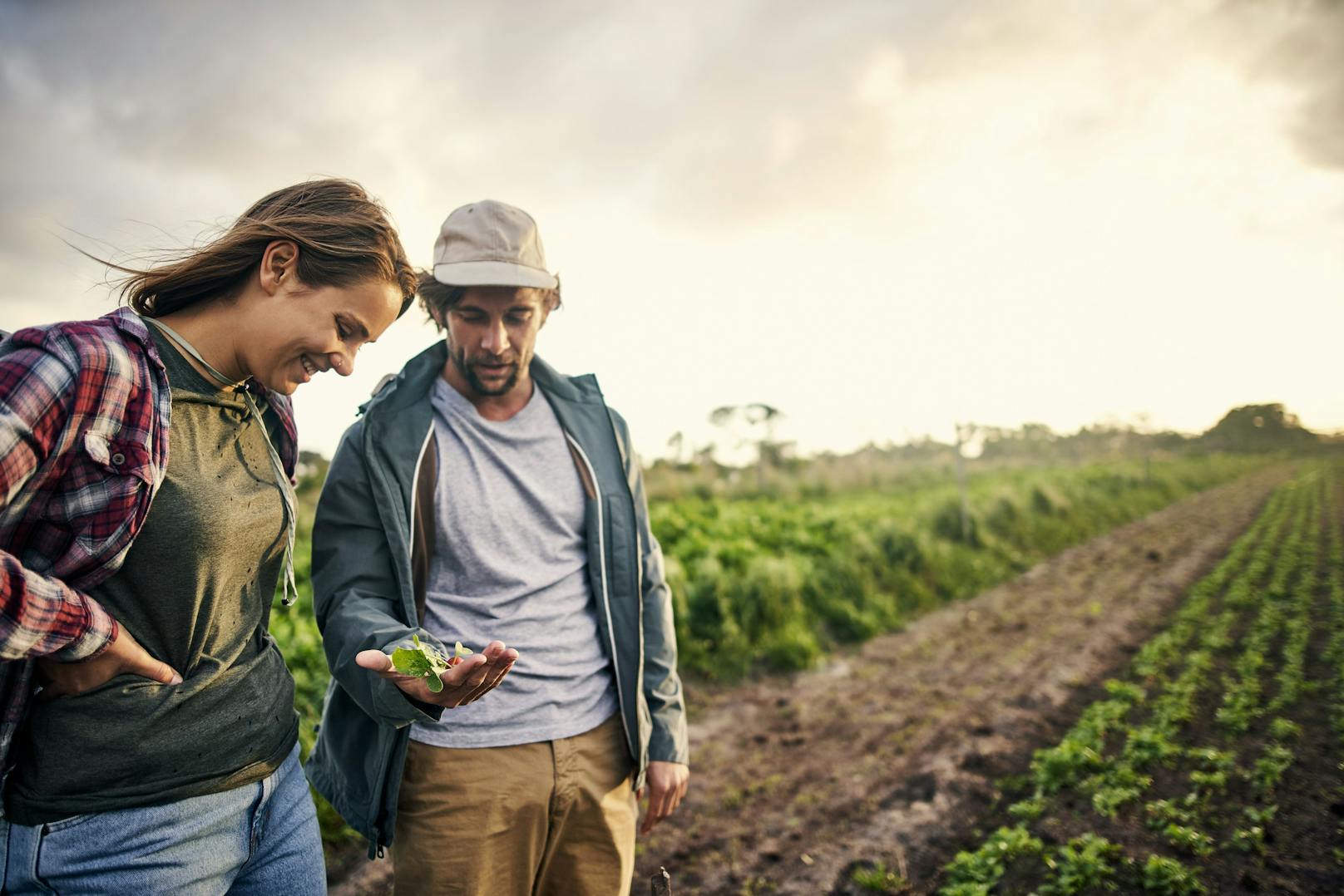 Bauern sollen künftig mit "Landwirtschaftliche Beschäftigte" betitelt werden.