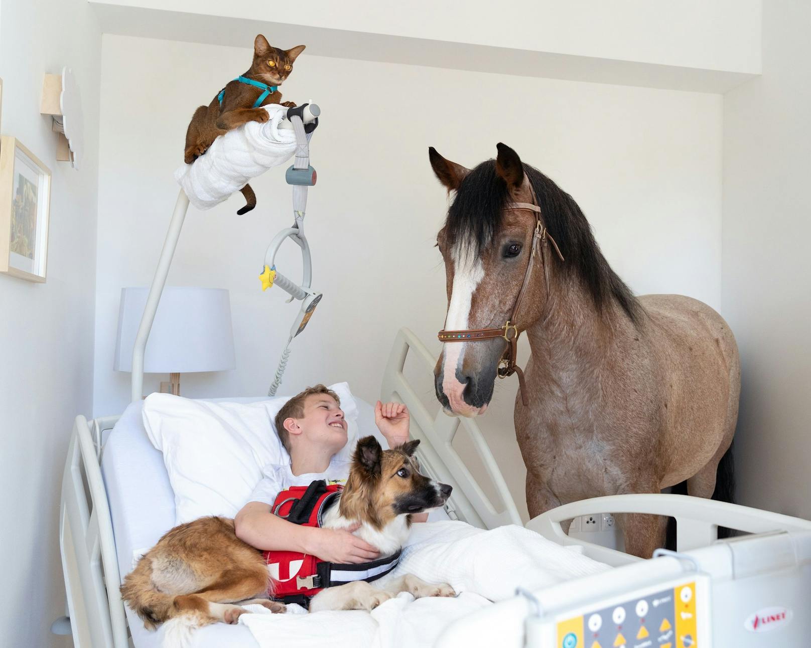 Ein Pferd am Krankenbett: Die Therapie-Tiere des Lichtblickhofs betreuen schwer kranke Kinder und ihre Familien in speziell adaptierten Wohnungen.&nbsp;