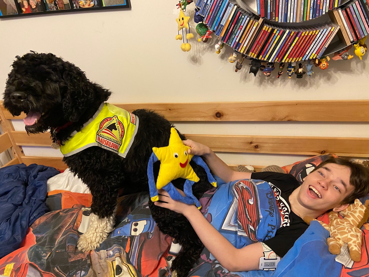 Heute.at - Hund hilft tapferem Bursch bei täglichen Krampfanfällen