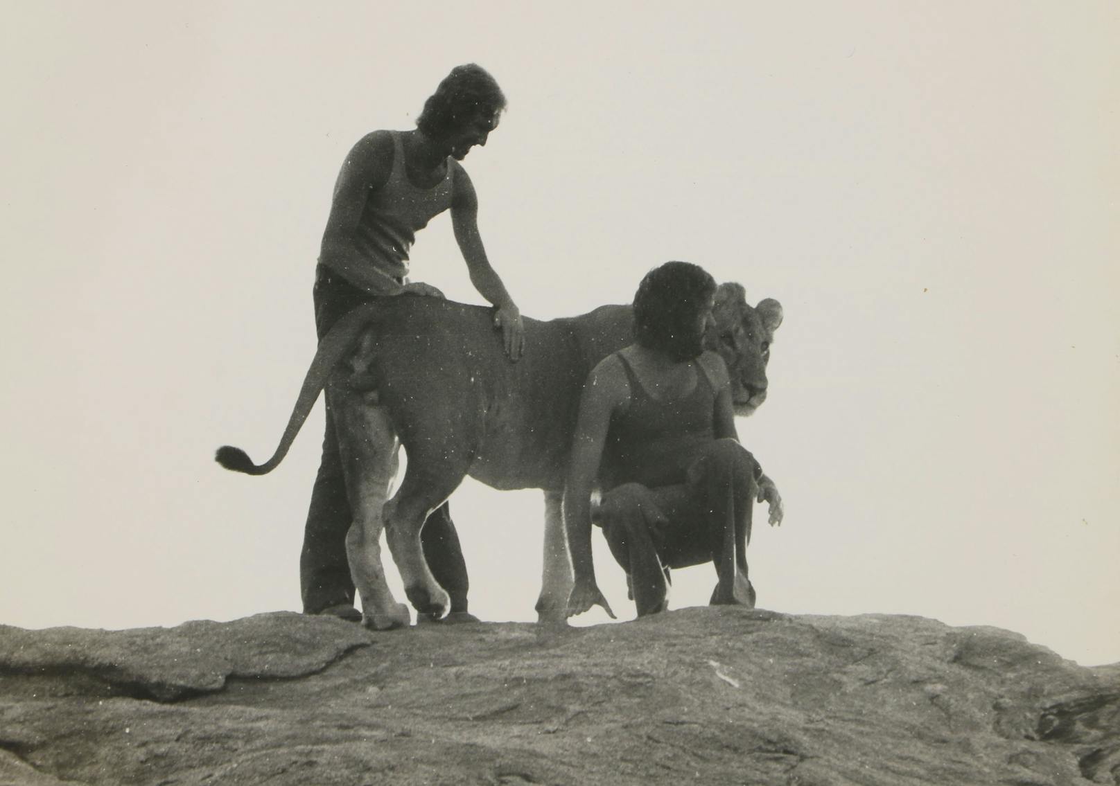 Zuletzt wurde der Löwe namens Christian aus London 1973 lebend gesehen – damals sogar mit eigenem Nachwuchs.
