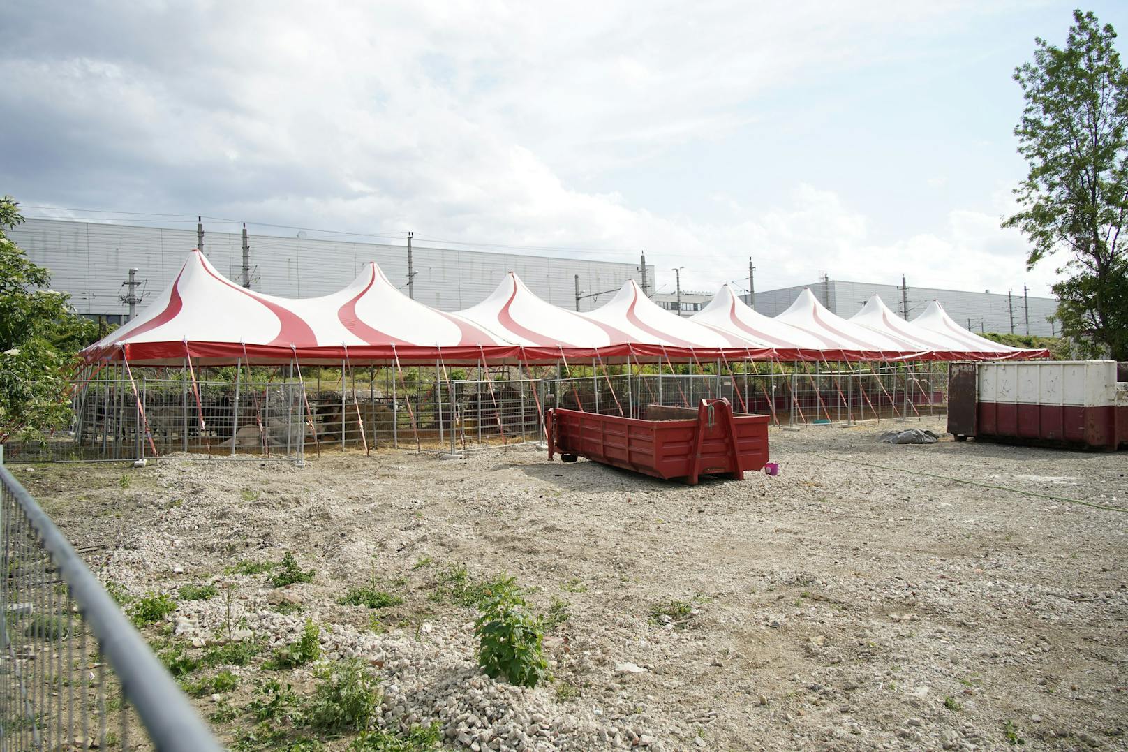 Der Circus-Safari schlug seine Zelte am Margaretengürtel auf.