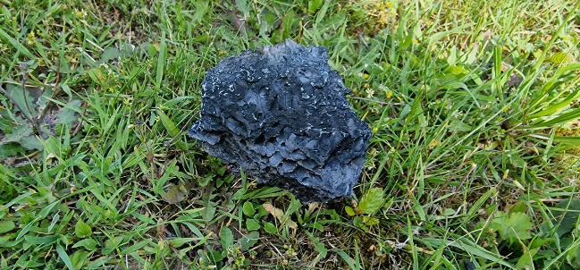 Dieses verkohlte Material landete in Remetschwil, etwa zwei Kilometer vom Brandherd entfernt. Ein solches ist es auch, das in&nbsp;Spreitenbach für verderbende Ernte sorgt.