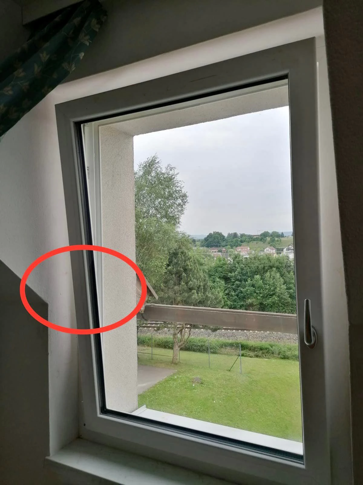 In diesem Fenster blieb die Katze stecken.