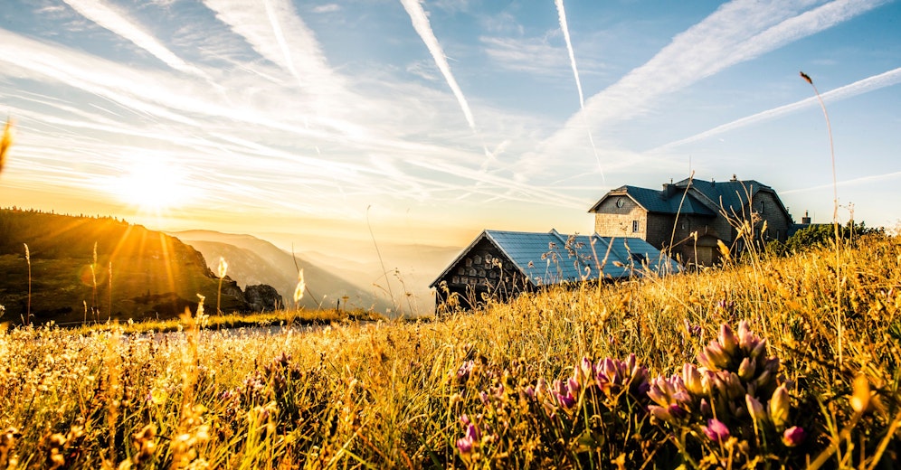 Seit Anfang Juni gibt es noch bessere Verbindungen auf die RAX.