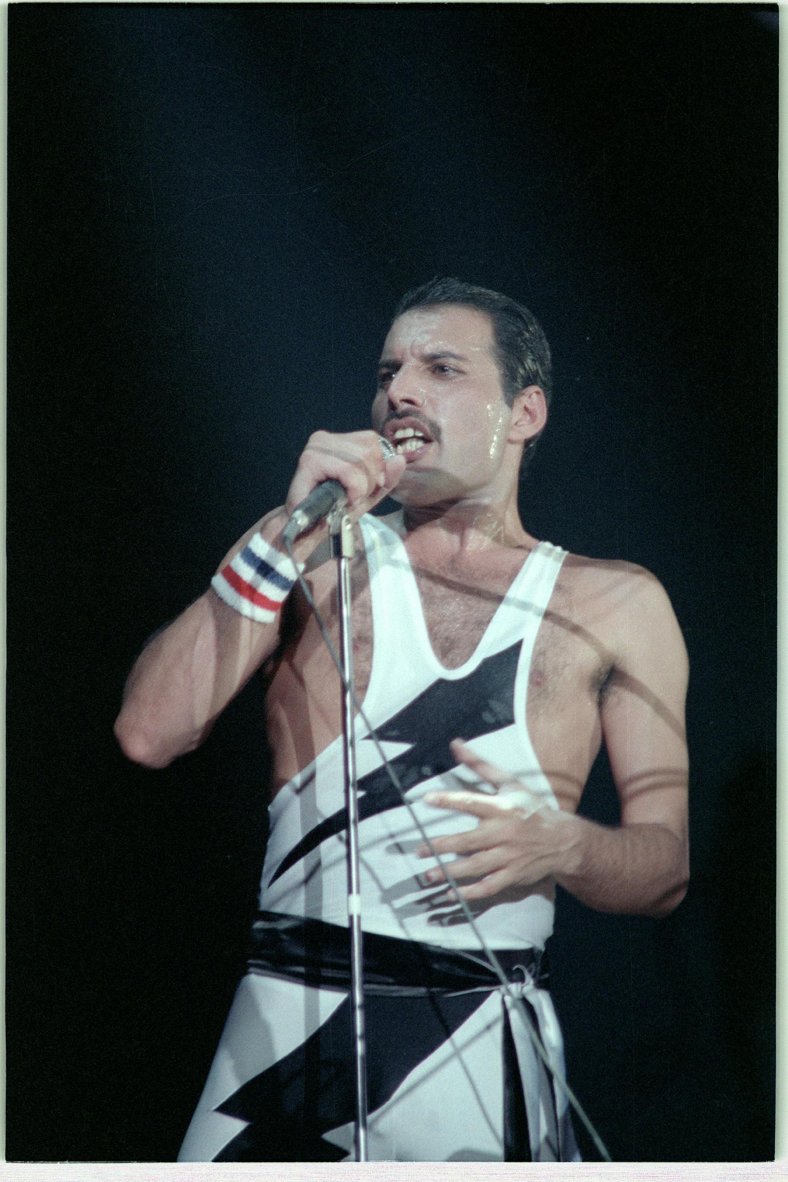 Unvergessen: Freddie Mercury