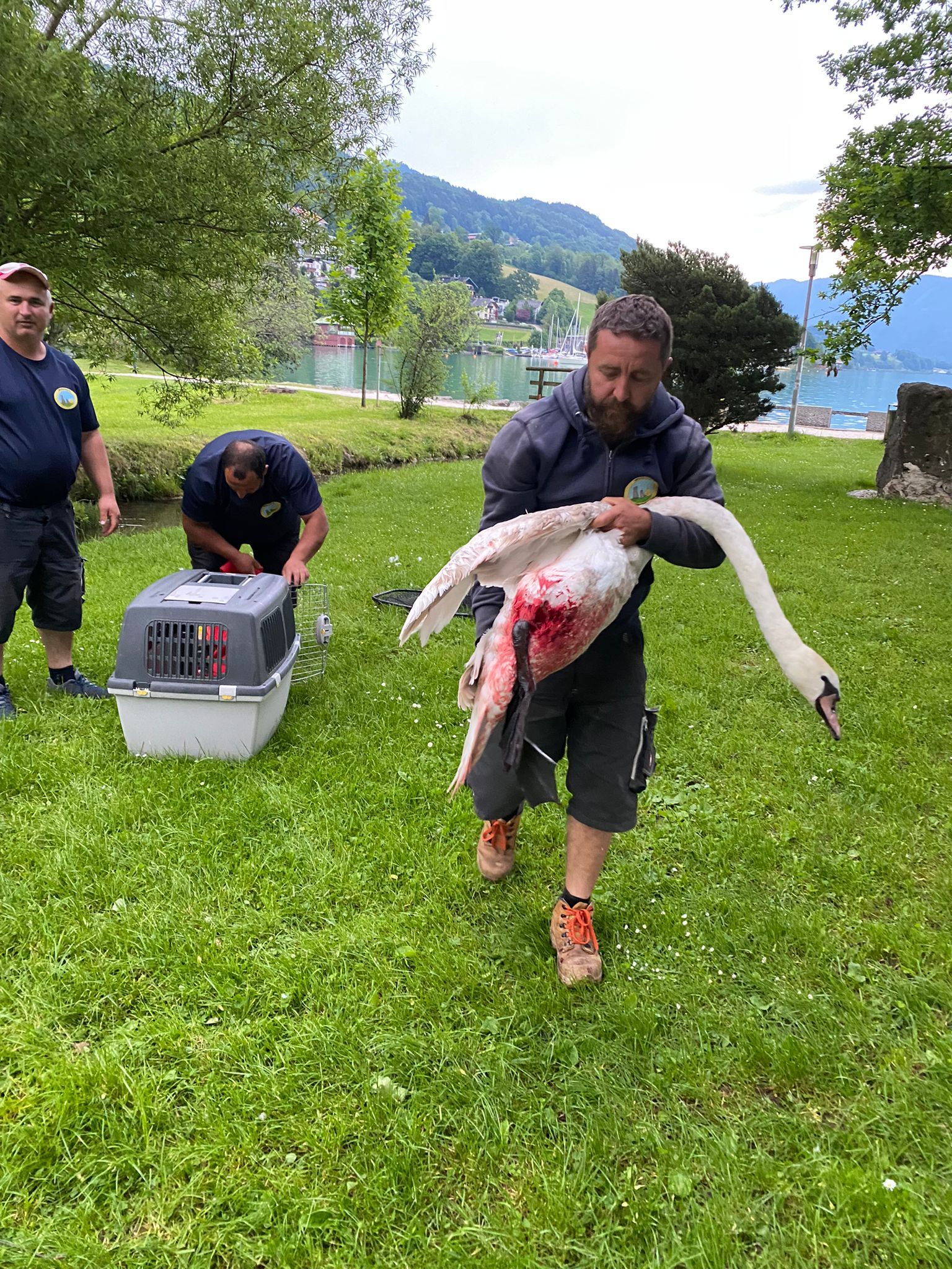 Dem armen Kerl musste sogar das Beinchen amputiert werden. Nun darf sein Leben im Teich der Pfotenhilfe in Lochen verbringen. 