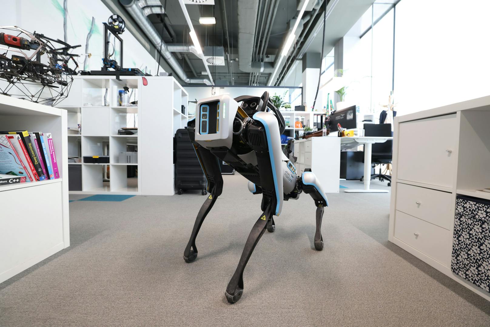 Der Energy Dog, ein Roboterhund, der künftig für Inspektionen eingesetzt wird.