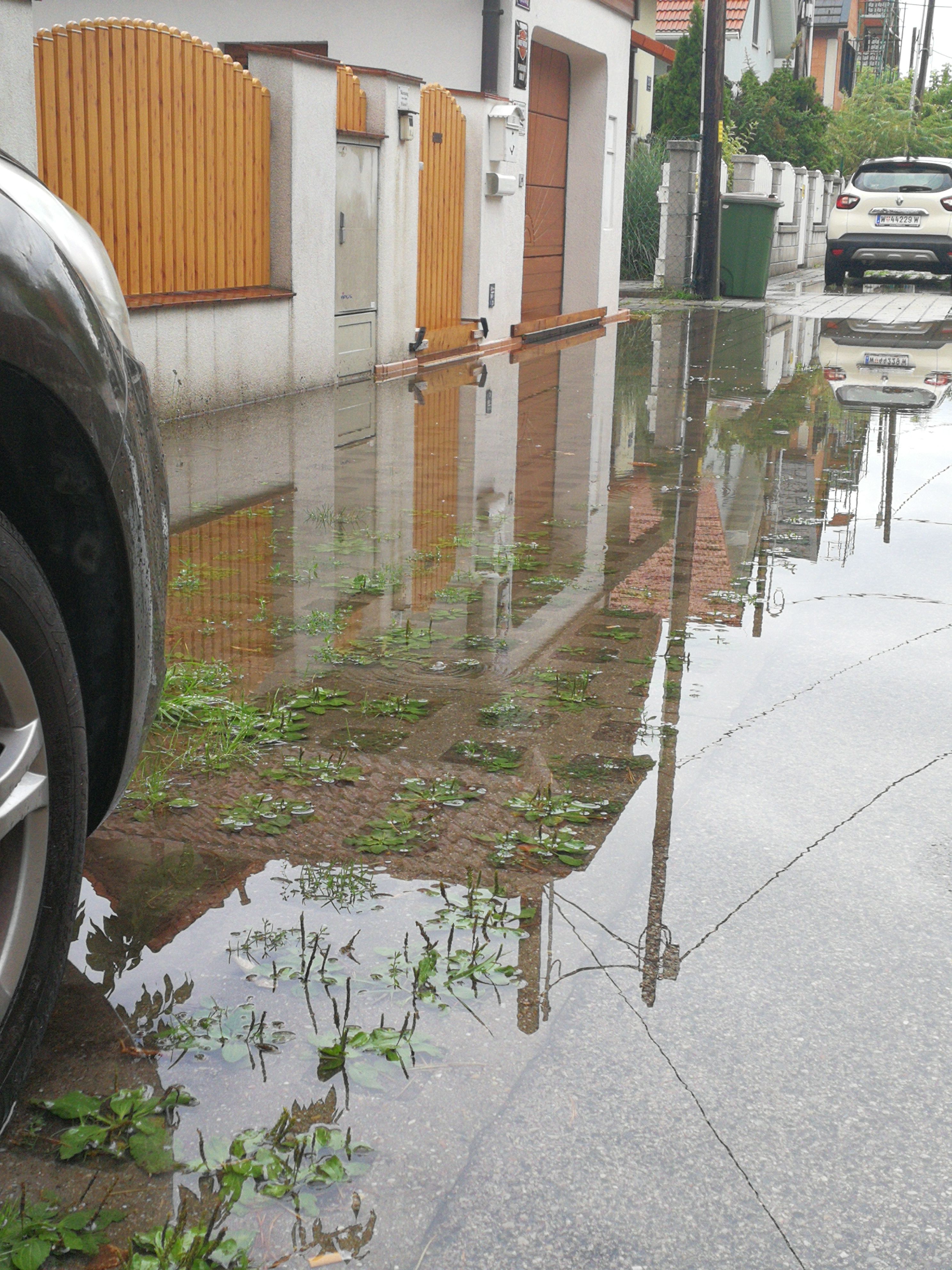 Siedlung in Wien-Floridsdorf: Wasser läuft nicht ab. 