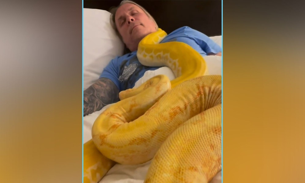 Das muss man schon wollen, oder? Brian Barczyk liebt seine Reptilien so sehr, dass er mit ihnen sogar bei einem Nickerchen kuschelt. 