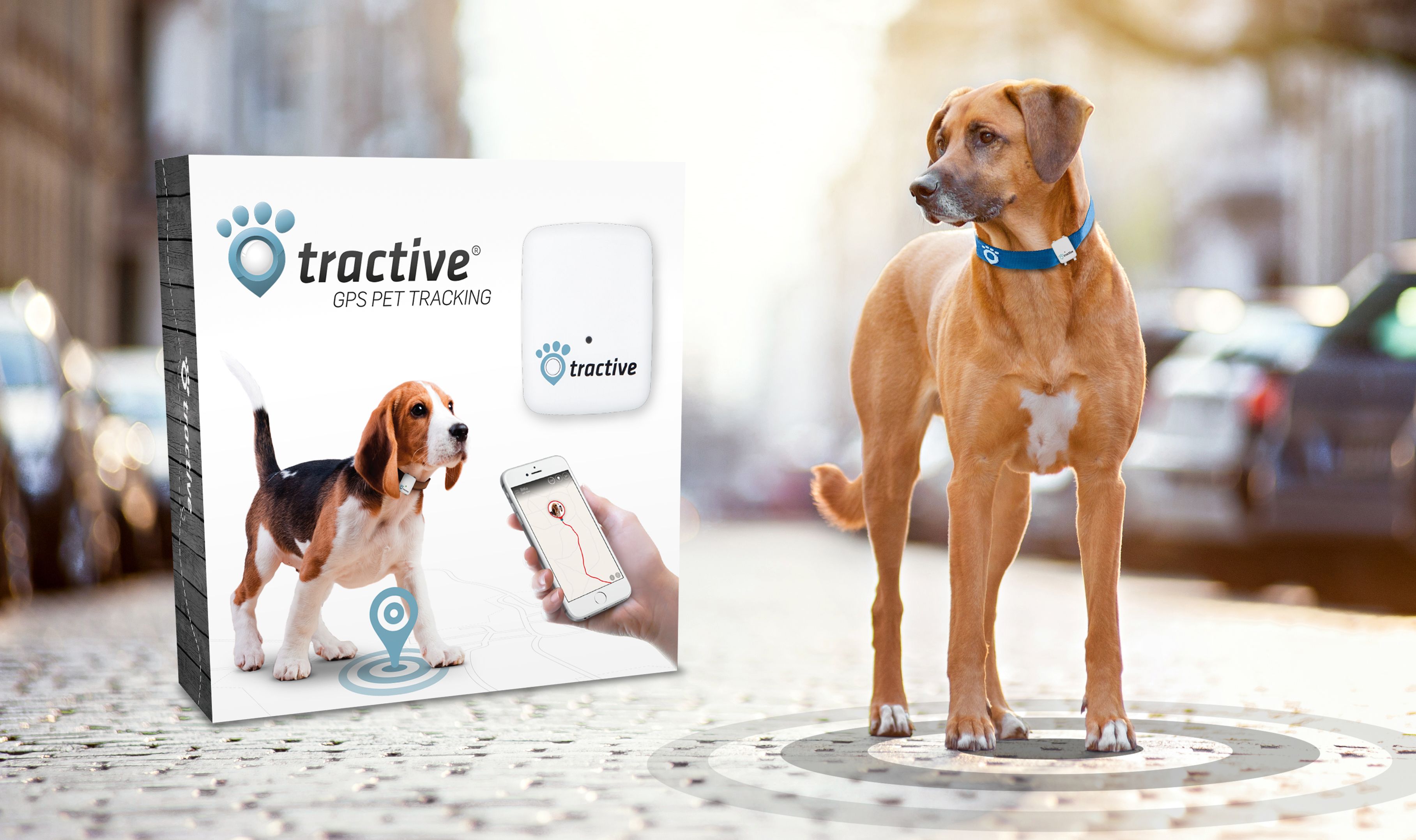Entlaufene Tiere einfach mit dem Smartphone orten – das ist eines von Tractives GPS-Features.