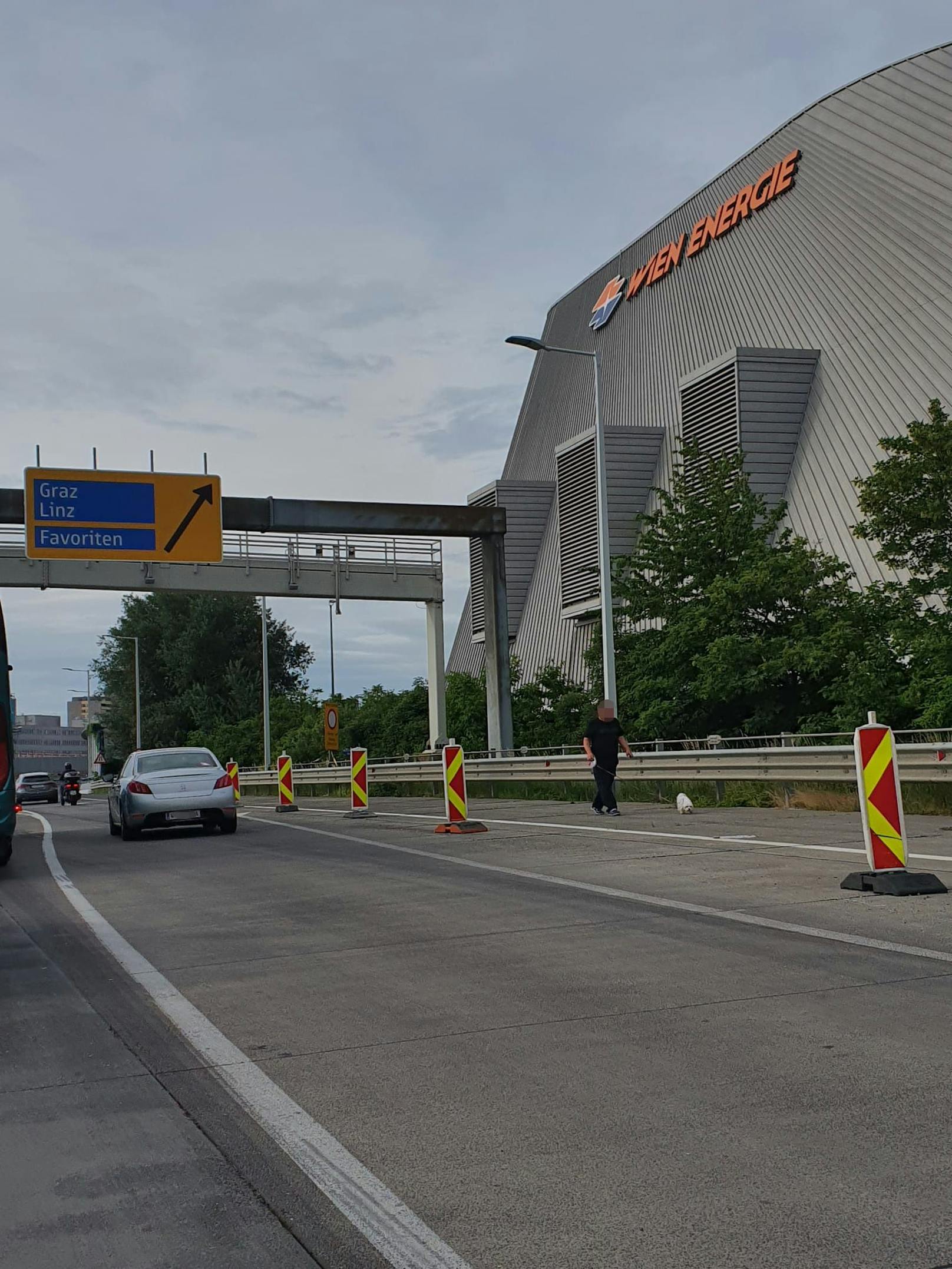 Ein Autobahn-Gackerl auf der Wiener Tangente.