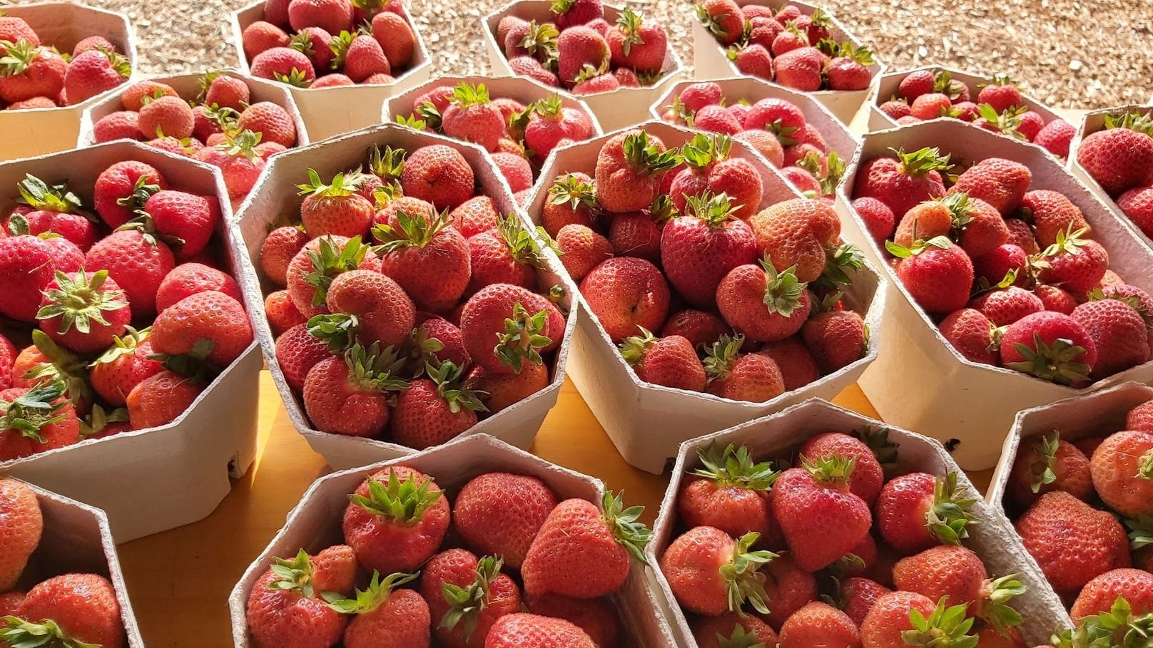 Für 1 Kilo Erdbeeren zahlt man bis zu 15, 98 Euro. 