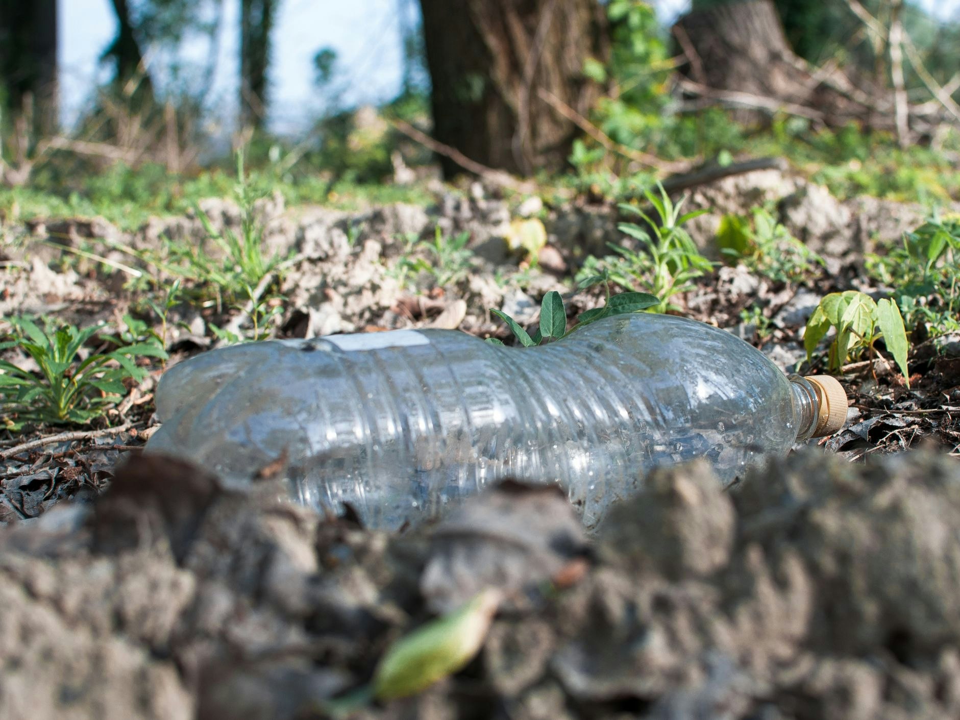 plastic bottle in the forest near the pond. Environmental pollution. Environmental issue and disaster. Go Green, Zero Waste, Save the Planet, Earth Day, No Plastic, Recycling Concept