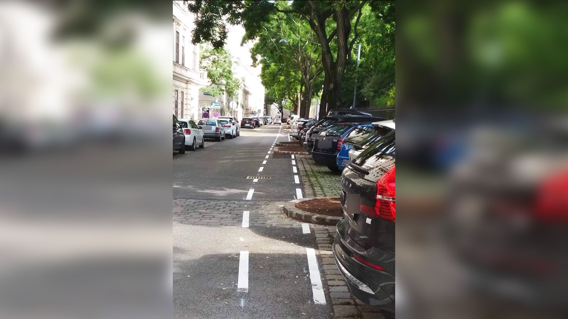 Den neuen Fahrrad weg in der Gesaugasse in Wien-Landstraße hielt Katarina zunächst für einen Scherz