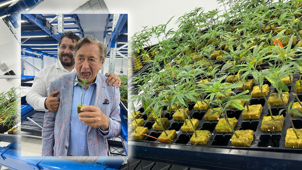 Richard Lugner wurden allerlei Cannabis-Produkte angeboten.
