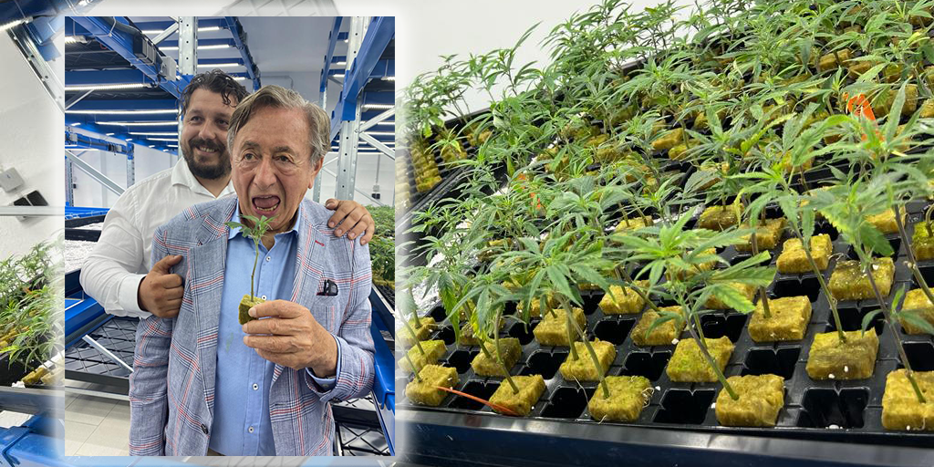 Richard Lugner wurden allerlei Cannabis-Produkte angeboten.