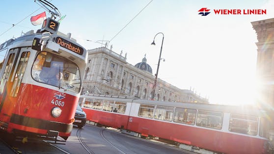Mit der Jahreskarte der Wiener Linien bist du unbegrenzt in der Hauptstadt unterwegs.