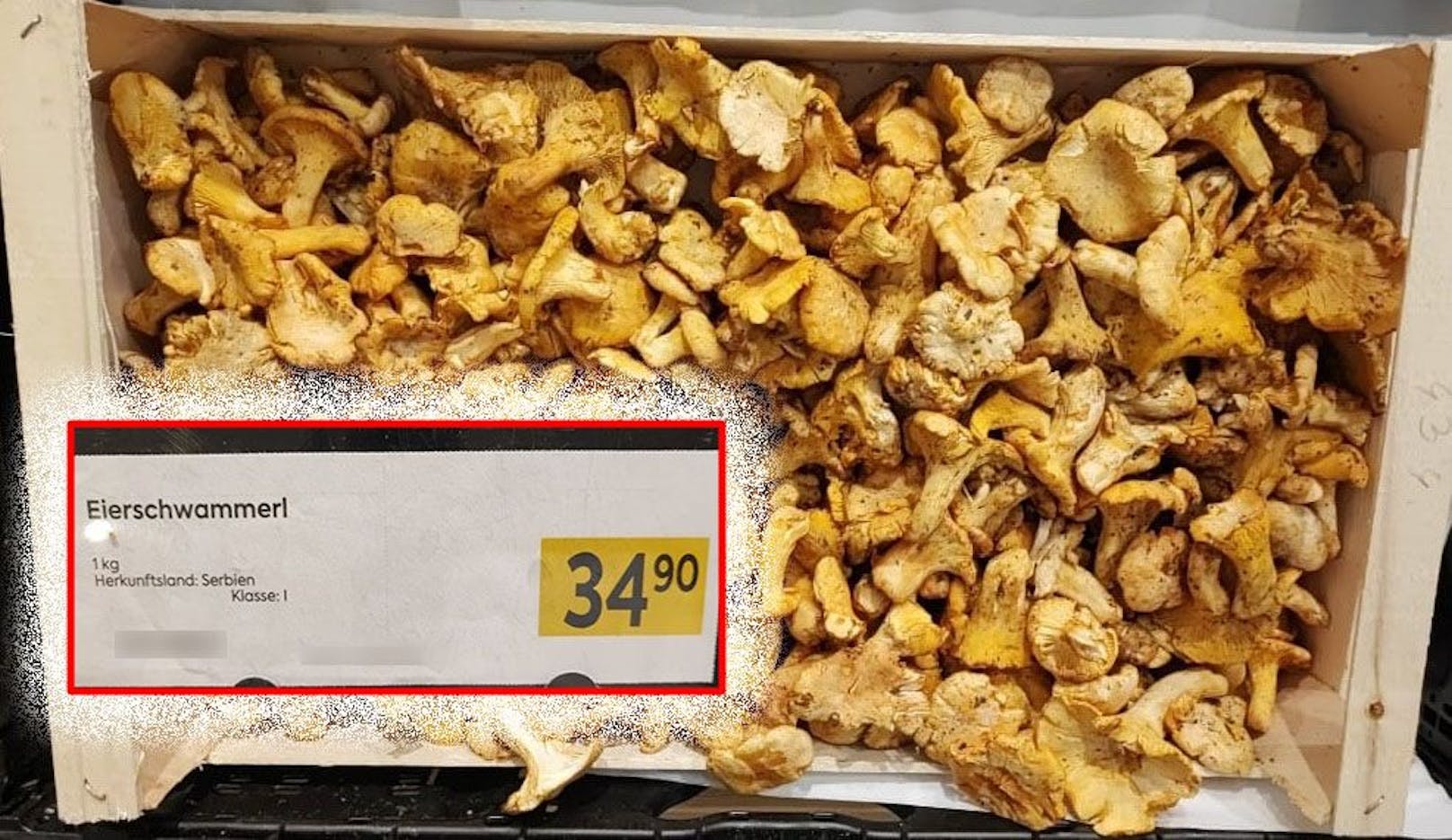 Ein Wiener Supermarkt verkauft Schwammerl für 34,99 Euro pro Kilo.