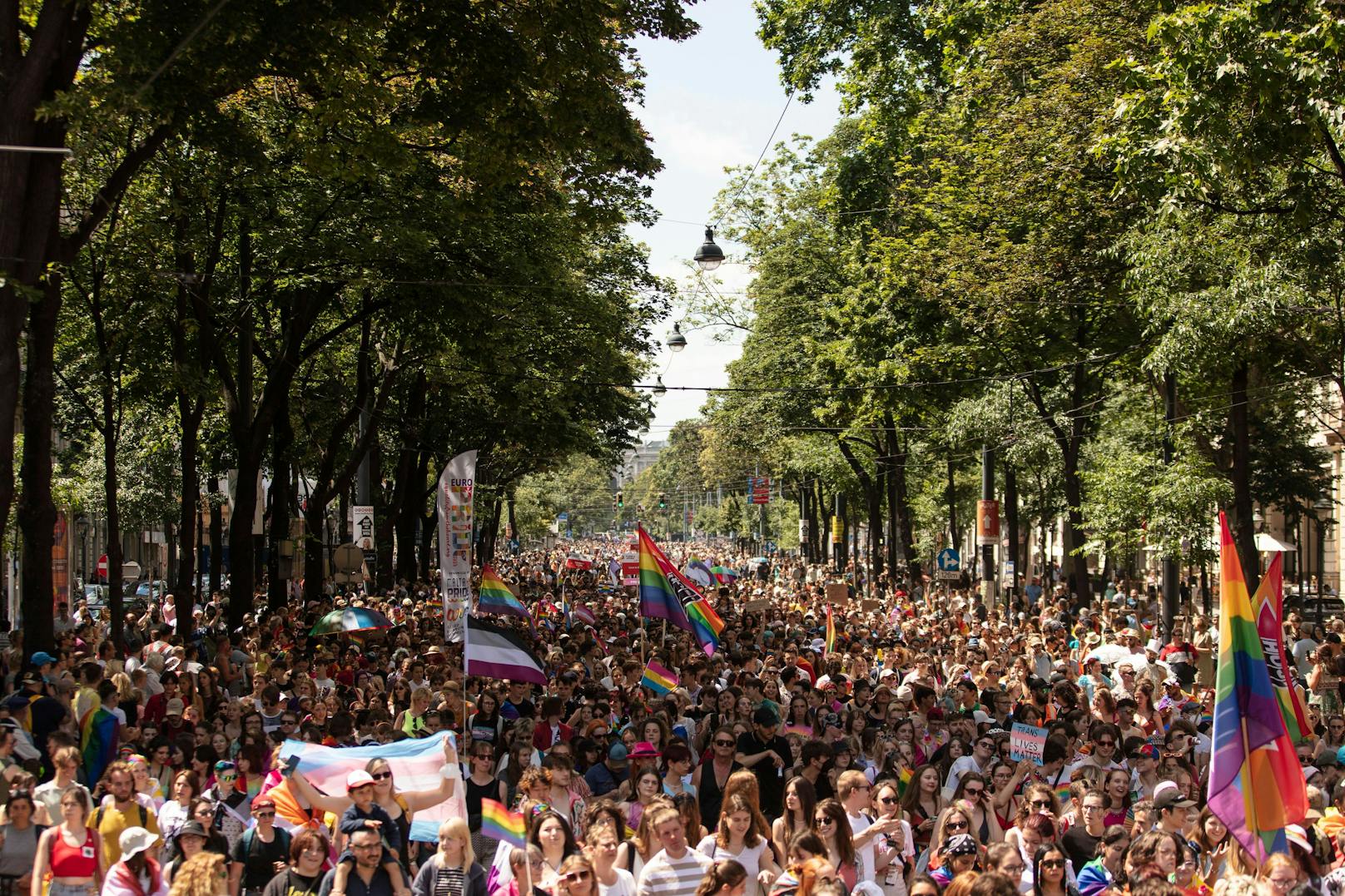Regenbogenparade am Wiener Ring. (Archivbild)