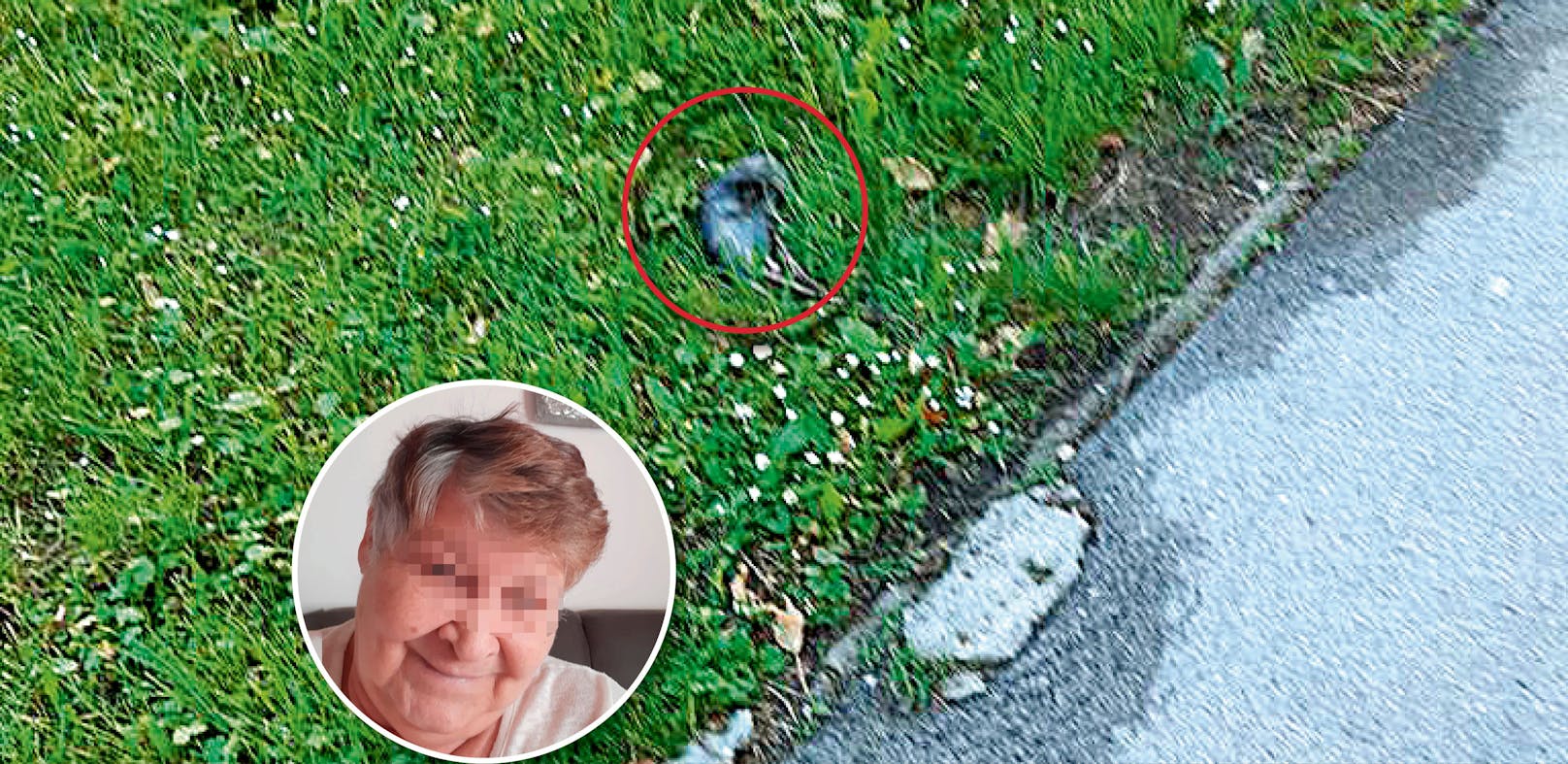 Frau (67) lebt mit Ratten in Tulln