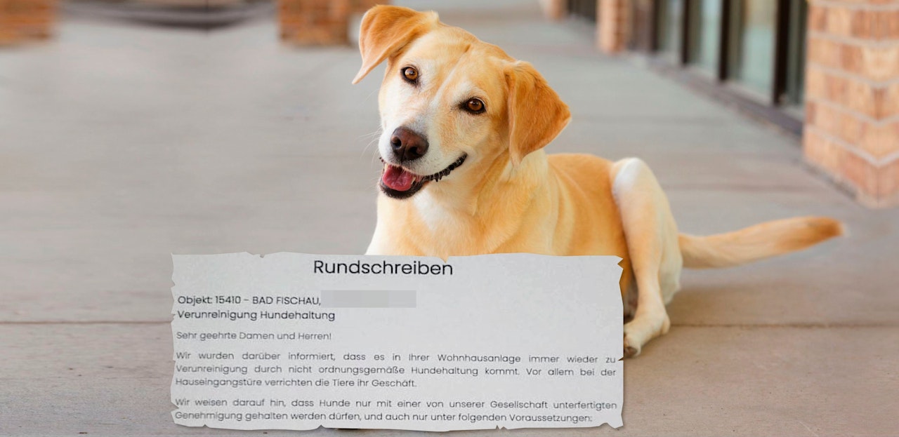 Heute.at - Elf Hunde im Bau machen mir Leben zur Hölle