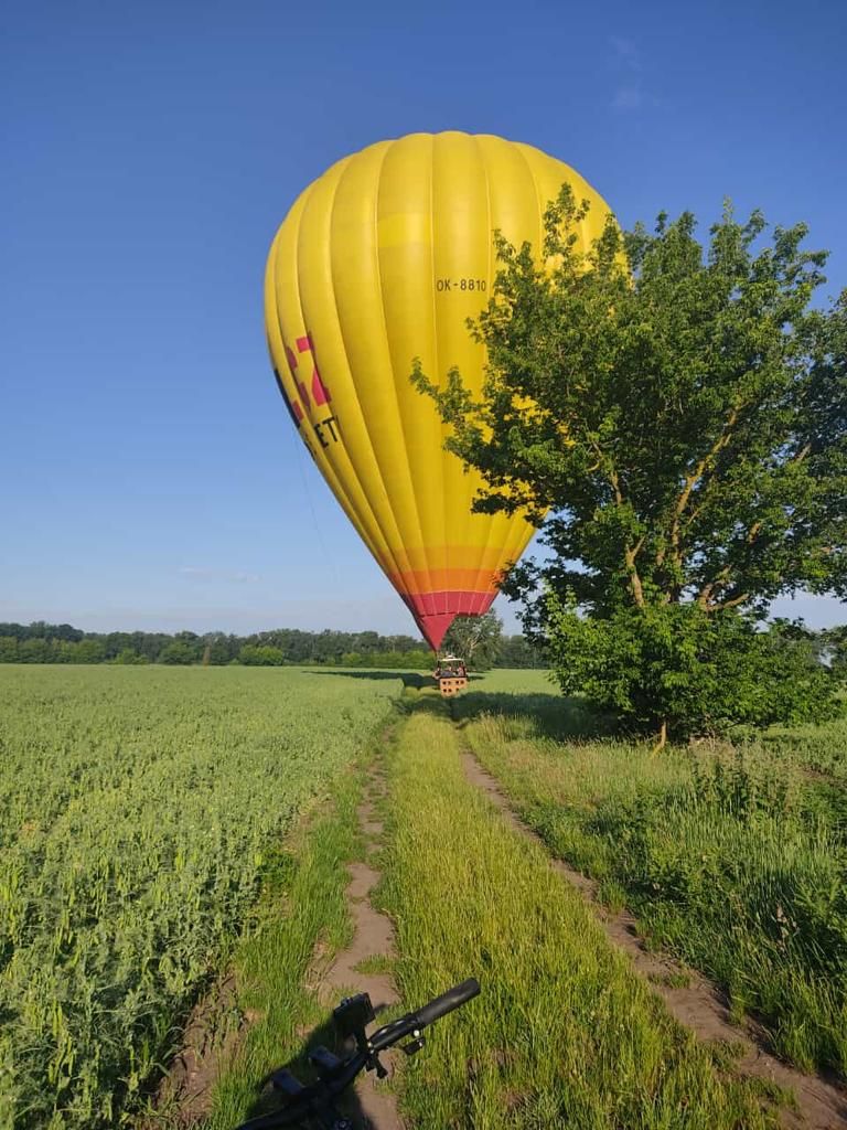 Bild vom Heißluftballon im Feld.
