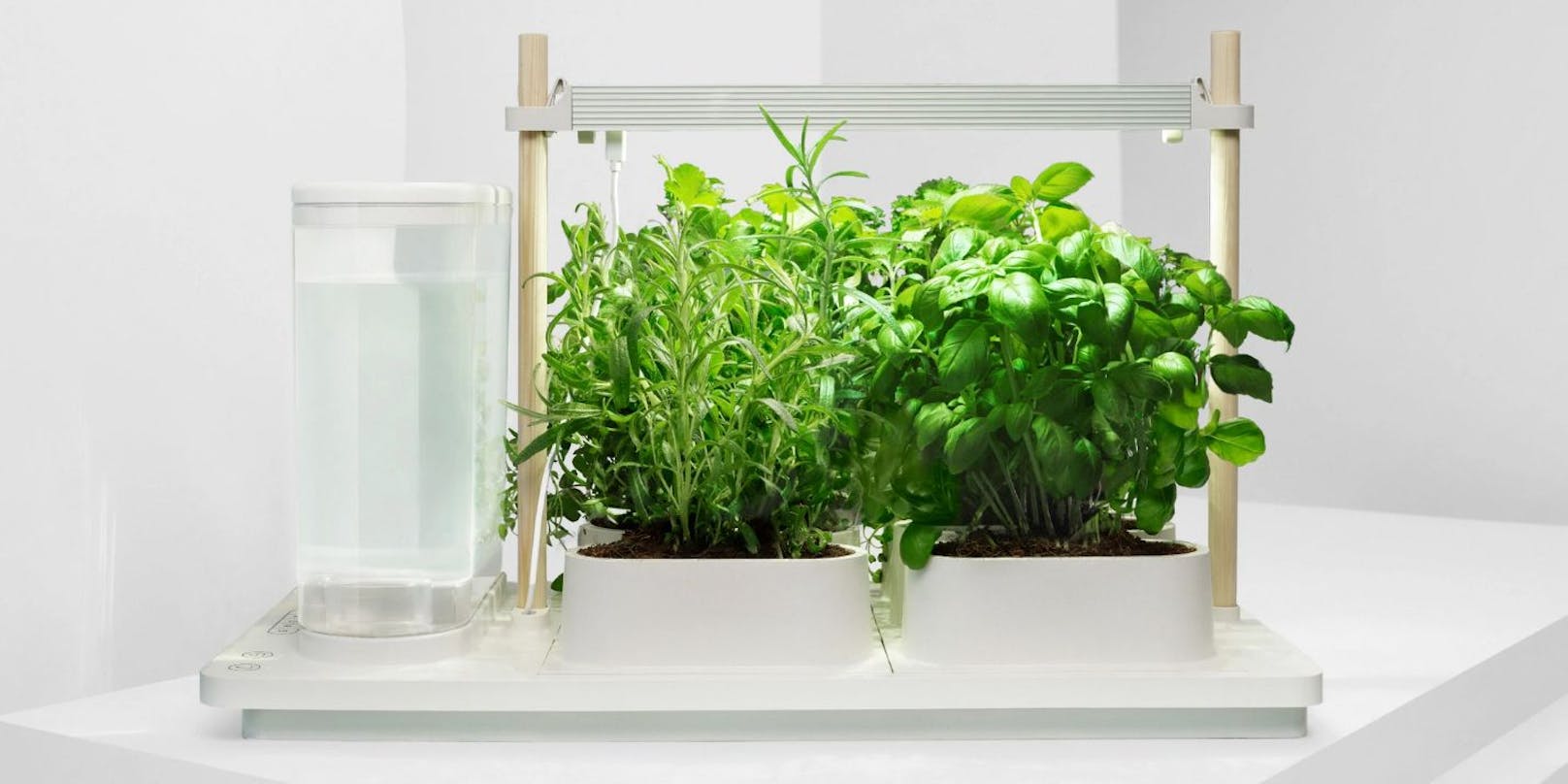 "Auk Eco möchte smartes Indoor Gardening revolutionieren – jetzt auch europaweit", heißt es vom Unternehmen.