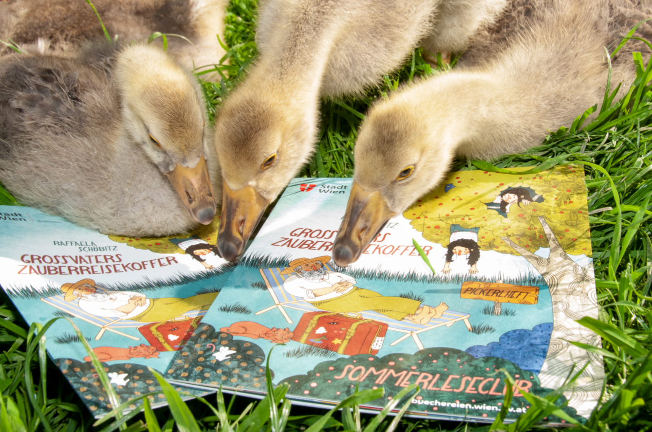 Beim Sommerleseclub bekommen Kinder und Jugendliche kostenlos Bücher, Hörspiele und Pickerlhefte.